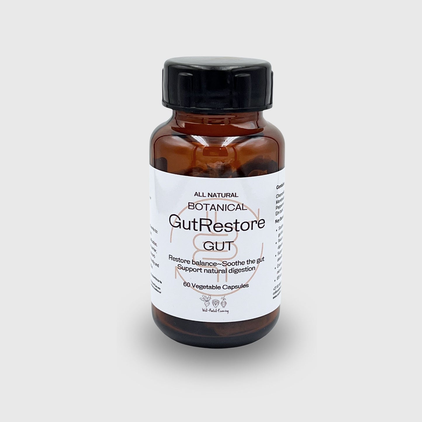 GutRestore (60 vegetarian Capsules)
