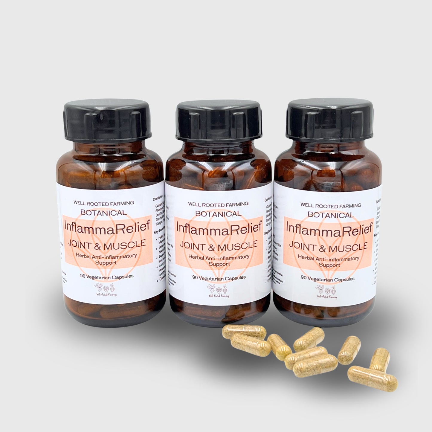 InflammaRelief (90 vegetarian Capsules)