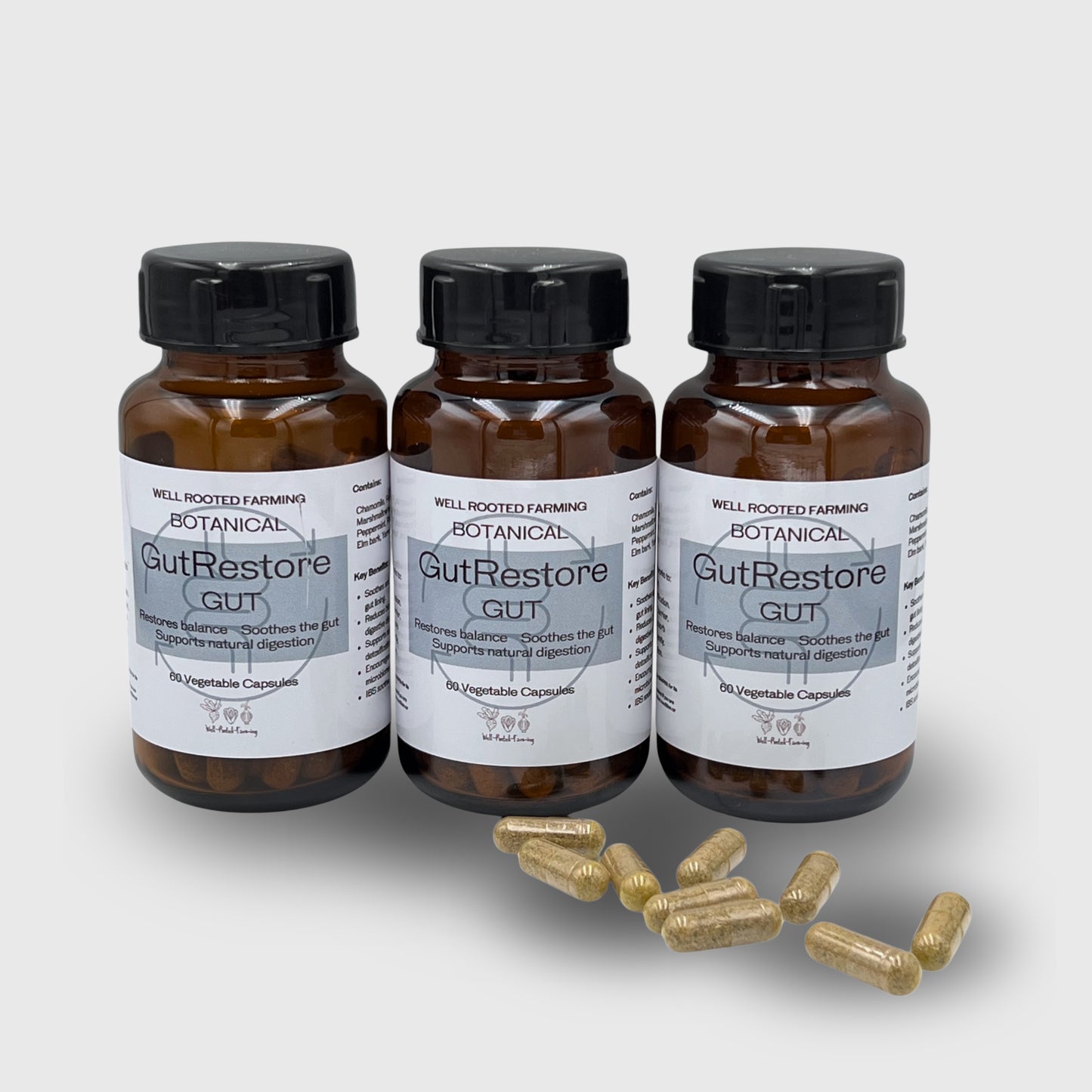 GutRestore (60 vegetarian Capsules)