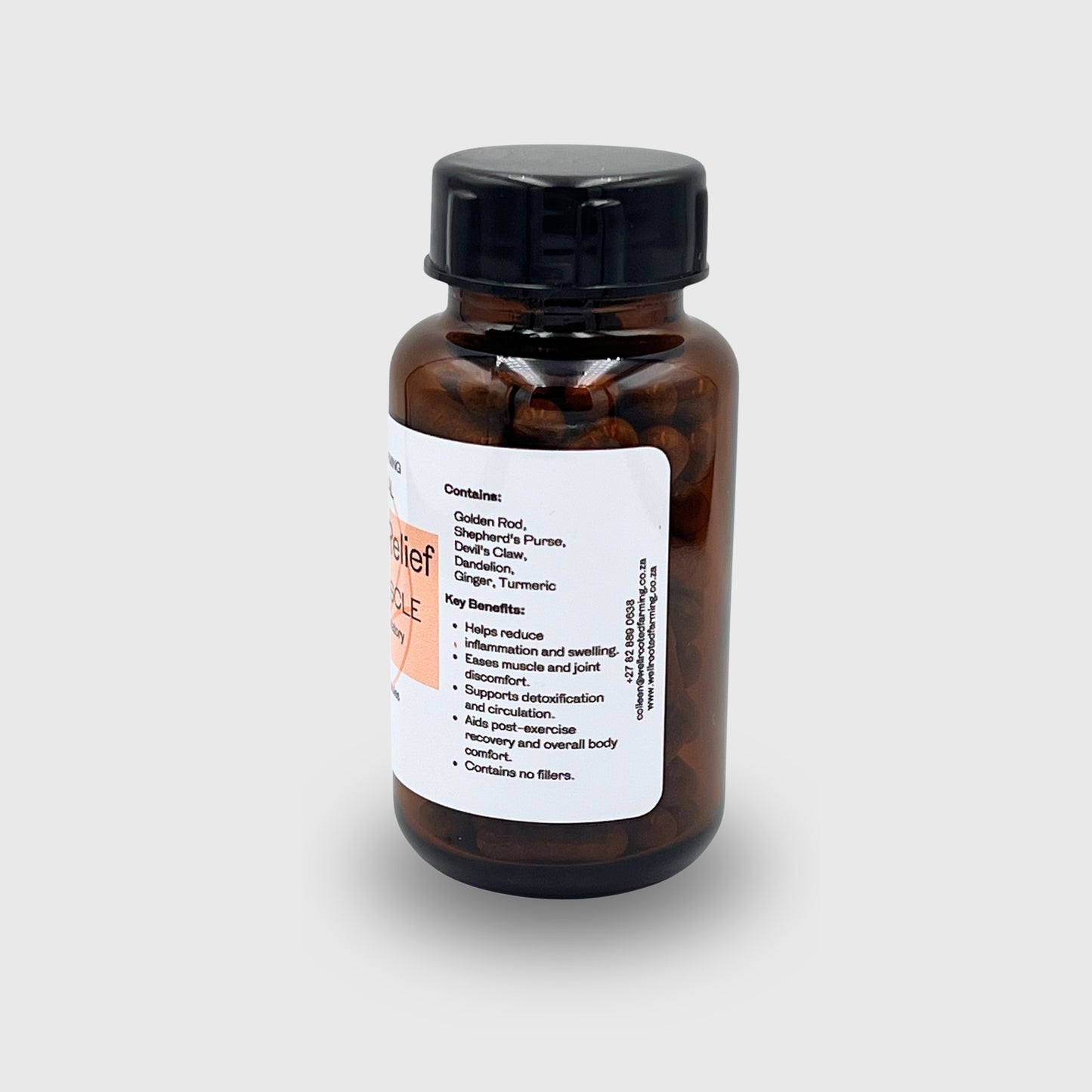 InflammaRelief (90 vegetarian Capsules)