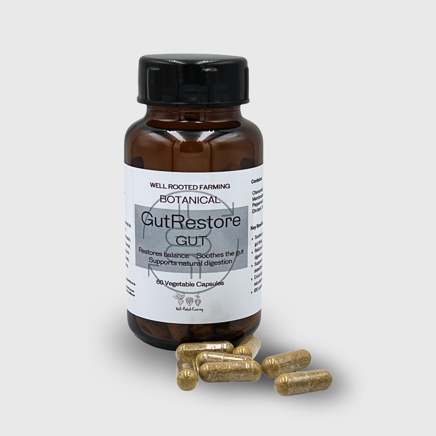 GutRestore (60 vegetarian Capsules)