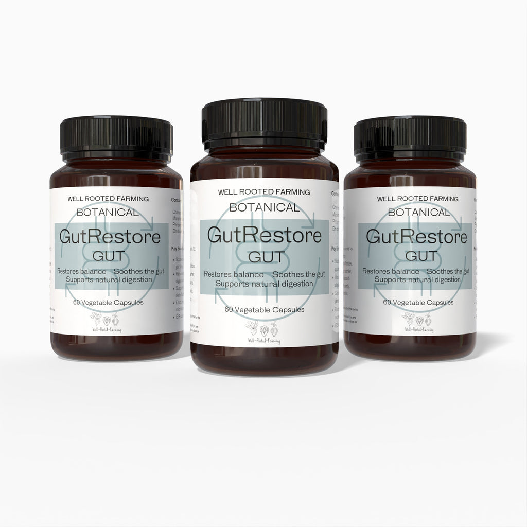 GutRestore (60 vegetarian Capsules)