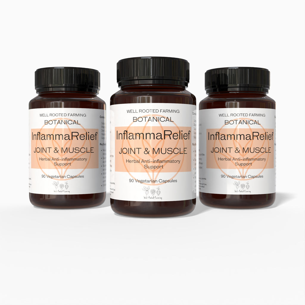 InflammaRelief (90 vegetarian Capsules)