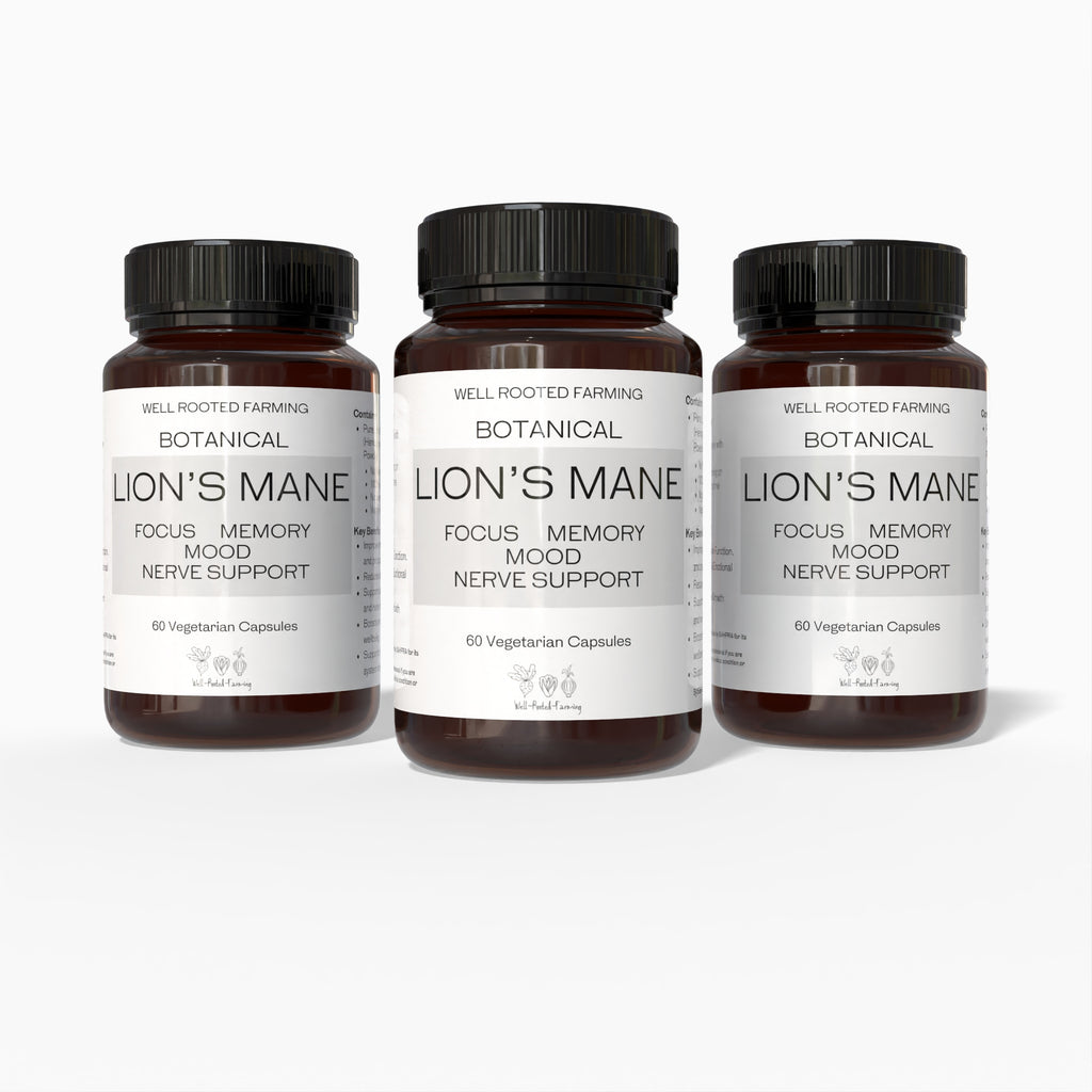 Lion’s Mane Mushroom (60 Vegetarian Capsules)