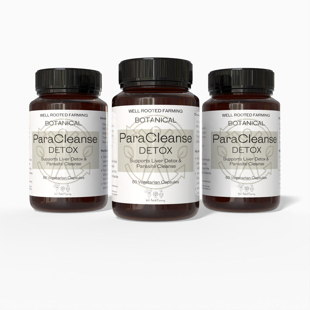 ParaCleanse (60 vegetarian Capsules)